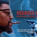 Negroes With Guns poster