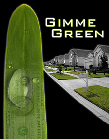 Gimme Green